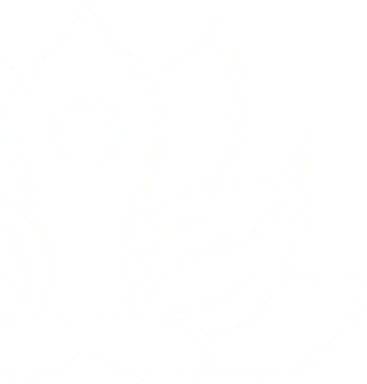 White lotus flower logo on a dark background.