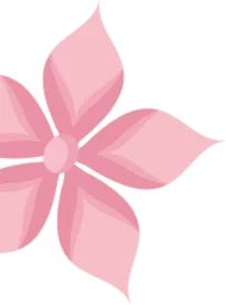 Pink flower with delicate petals on a clean white background.