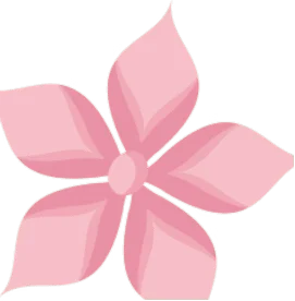 Pink flower with delicate petals on a clean white background.